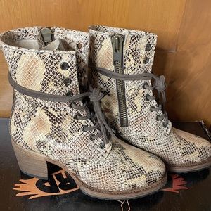 Freebird Cavaliers - Brand New